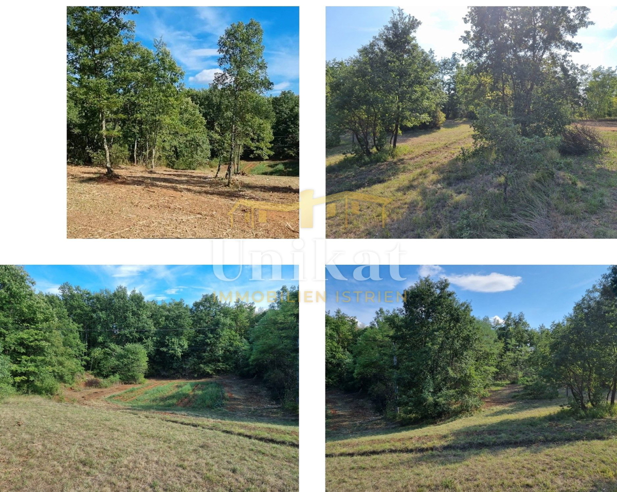 Casa su grande terreno in Istria Centrale